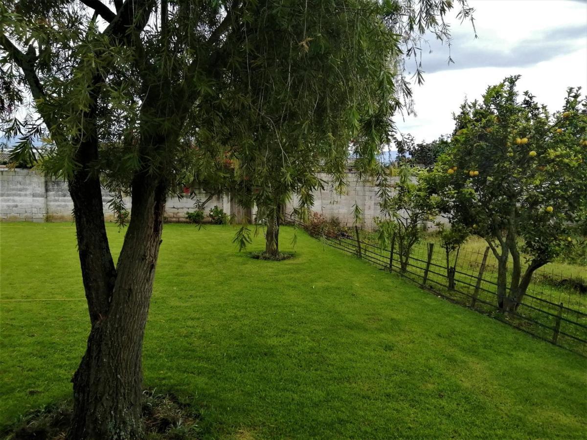 Chester'S B&B Табабела Екстер'єр фото
